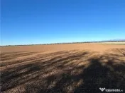 Magnolia Village | Teren 30.000 mp perfect pentru dezvoltare 