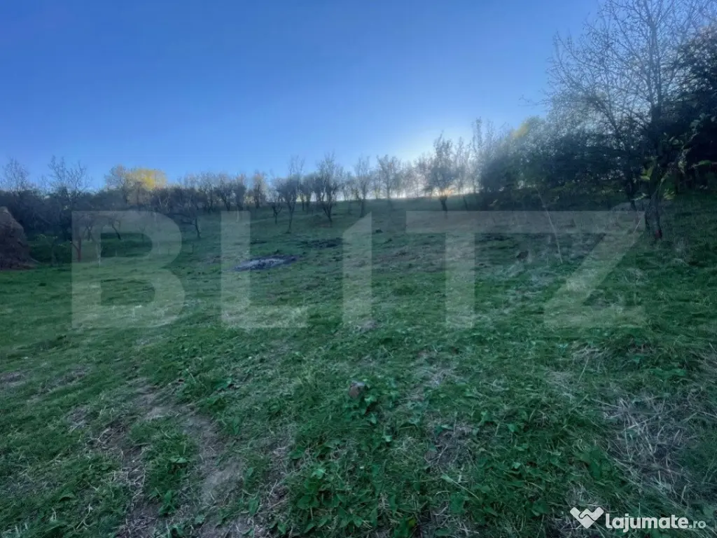 Teren Intravilan 1890mp Oarda de Sus