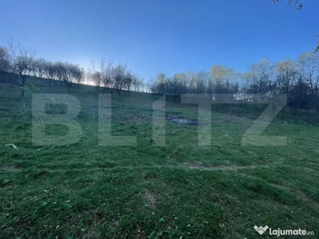 Teren Intravilan 1890mp Oarda de Sus