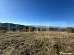 Teren extravilan 54.722 mp in Târsa