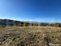 Teren extravilan 54.722 mp in Târsa