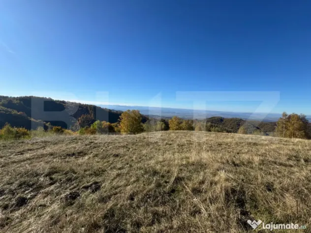 Teren extravilan 54.722 mp in Târsa