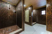 Vilă cu 5 camere, piscină și 805 mp teren, zona Vladimire 