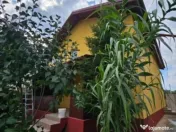 Bragadiru - casa de vanzare, 4 camere 