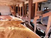 Teren construibil Apoldu de Jos,jud.Sibiu,comision 0 