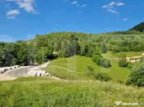 11,5 ha teren extravilan pe Trans Apuseana – cu izvor și
