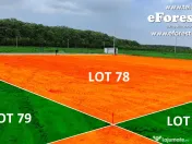 Loturi teren 720mp Crevedia, cel mai mic pret din zona! 