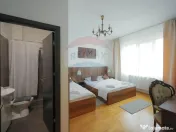 Oportunitate de investiție, Pensiunea Vila de la Lugaș,... 