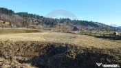 Teren de vanzare Vatra Moldovitei BUCOVINA 