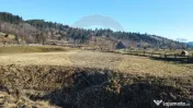 Teren de vanzare Vatra Moldovitei BUCOVINA 