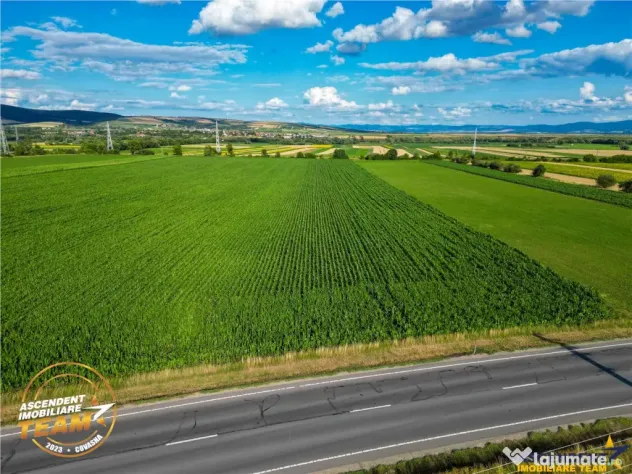 FILM! 30.200 mp teren intravilan,recomandat: investitie expl