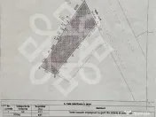 Casa individuala cu teren ultracentral in Oradea 