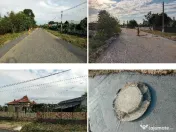 Casa si Teren loc Ungureni, ID: R2816752 