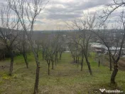 Teren intravilan 2.200 mp cu constructie existenta –Caline 