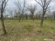 Teren intravilan 2.200 mp cu constructie existenta –Caline 