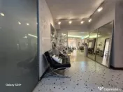 Apartament de 3 camere in Herastrau - complex Persepolis 