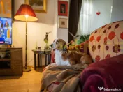 Proprietate Exclusivista cu Deschidere Spectaculoasa la Apa 