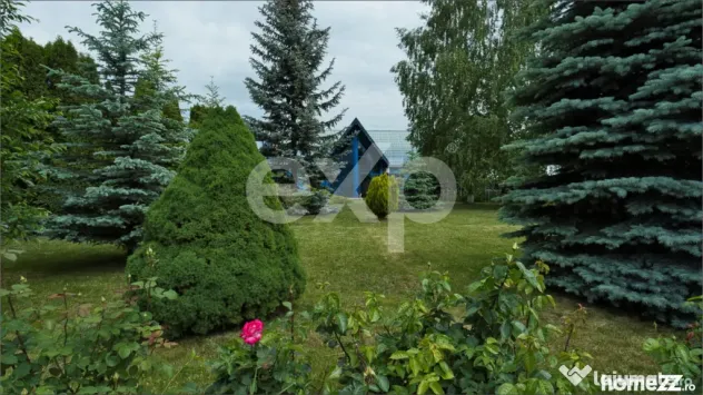 Proprietate industrială cu vizibilitate DN13 – Hală, bir
