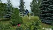 Proprietate industrială cu vizibilitate DN13 – Hală, bir