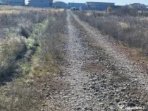 Teren intravilan 1000 mp – Magnolia