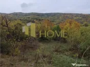 Sau Schimb teren central Drajna 5000 mp 