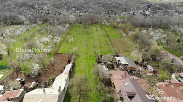 4898 MP Teren Intravilan | Prahova - Cornu De Jos | Toate Ut