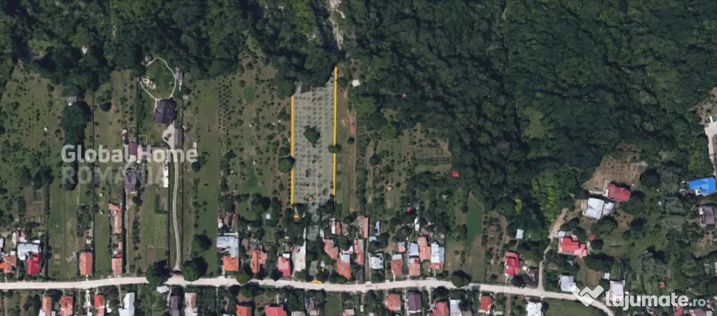 4898 MP Teren Intravilan | Prahova - Cornu De Jos | Toate Ut