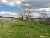 4898 MP Teren Intravilan | Prahova - Cornu De Jos | Toate Ut 