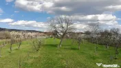 4898 MP Teren Intravilan | Prahova - Cornu De Jos | Toate Ut