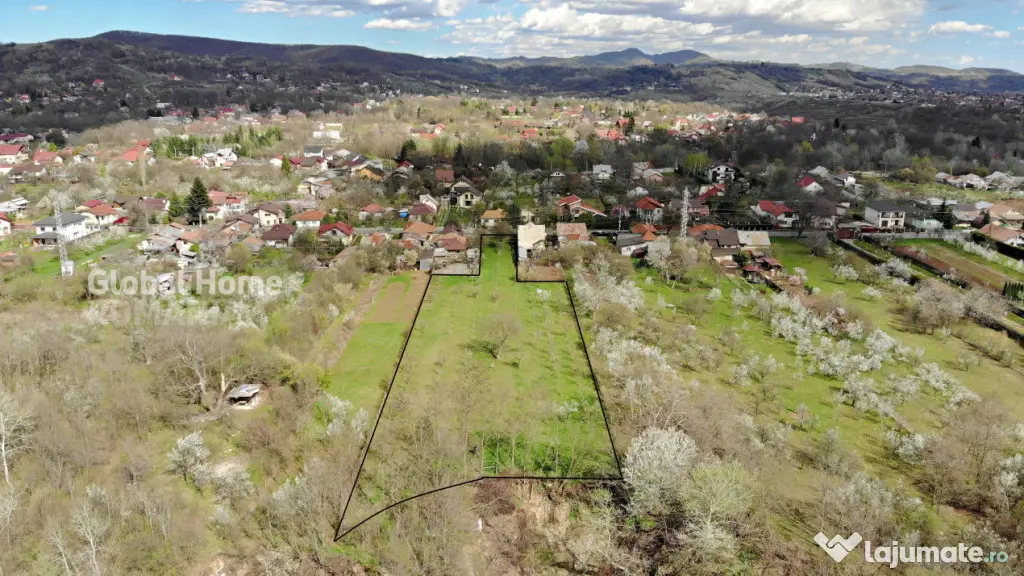 4898 MP Teren Intravilan | Prahova - Cornu De Jos | Toate Ut
