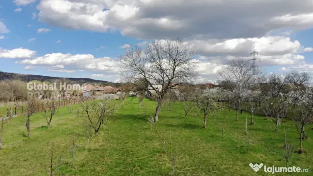 4898 MP Teren Intravilan | Prahova - Cornu De Jos | Toate Ut