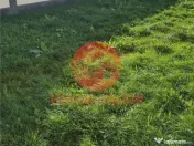 Casa Superba 5 Camere, Cartier Nou Lumina 