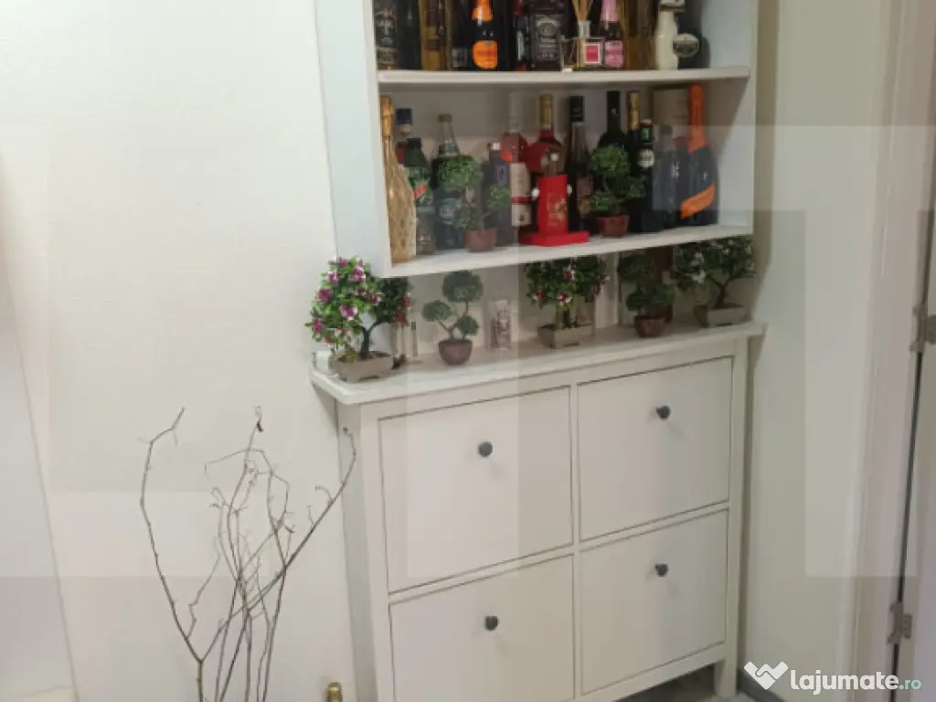 Apartament 2 camere, 55 mp, zona Dambovita