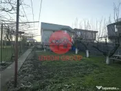 Casa Spatioasa P M in Ovidiu Sud – Liniste, Curte Gener... 