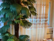 Planta artificială palmier 