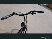 Bicicleta/city bike Campus 7 viteze 