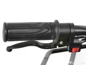 ATV electric Kinderauto RedSpider Quad 1000W 36V 12Ah 