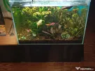 Vând acvariu 250 litri complet accesorizat