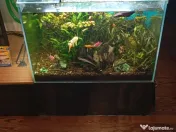 Vând acvariu 250 litri complet accesorizat 