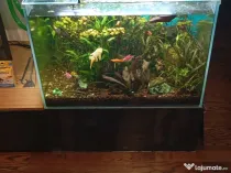 Vând acvariu 250 litri complet accesorizat