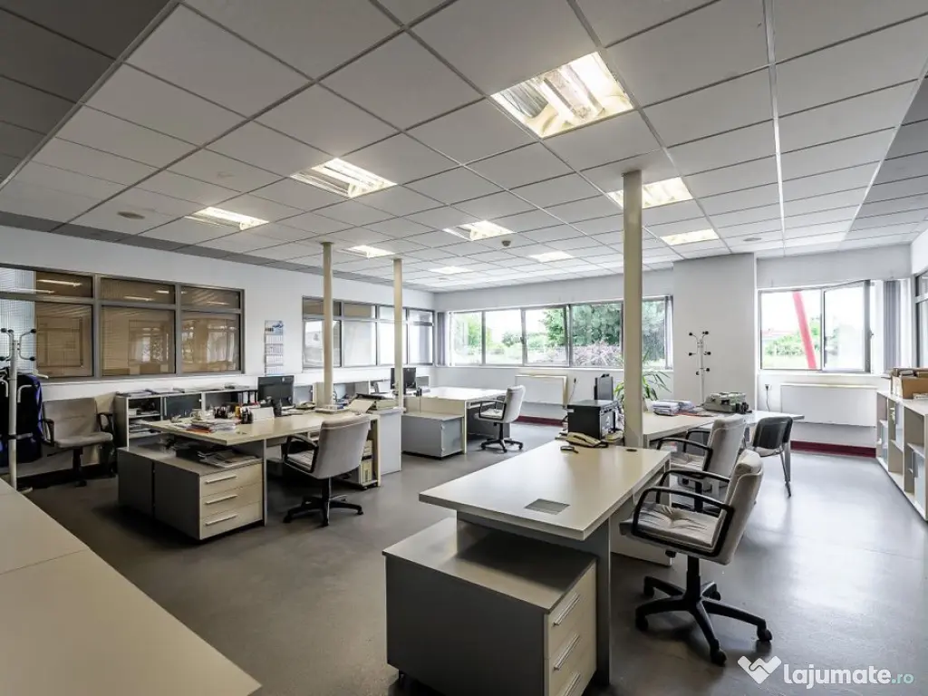 Hală de producție și depozitare cu birouri în Arad