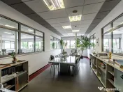 Hală de producție și depozitare cu birouri în Arad 