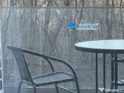 Apartament 2 camere padure modern Greenfield Residence 