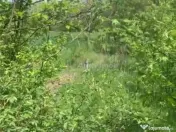 Teren intravilan 500 mp - Ganeasa 