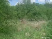 Teren intravilan 500 mp - Ganeasa 