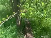 Teren intravilan 500 mp - Ganeasa 