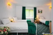 Complex turistic,afacere la cheie,3 vile, teren 7.700 mp,pan 