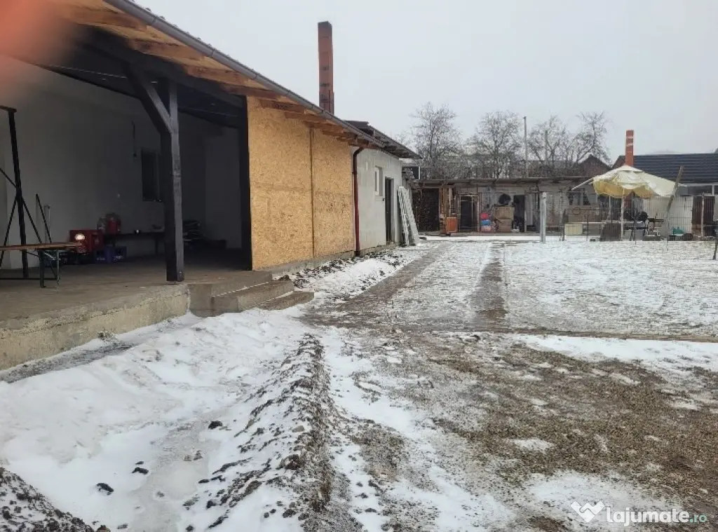 Spatiu comercial / Cladire - Zona Ilisesti