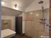 Mega Mall - Baiculului - Vila P + 1 + M 