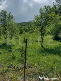 Teren intravilan 3.709 mp, Stremț